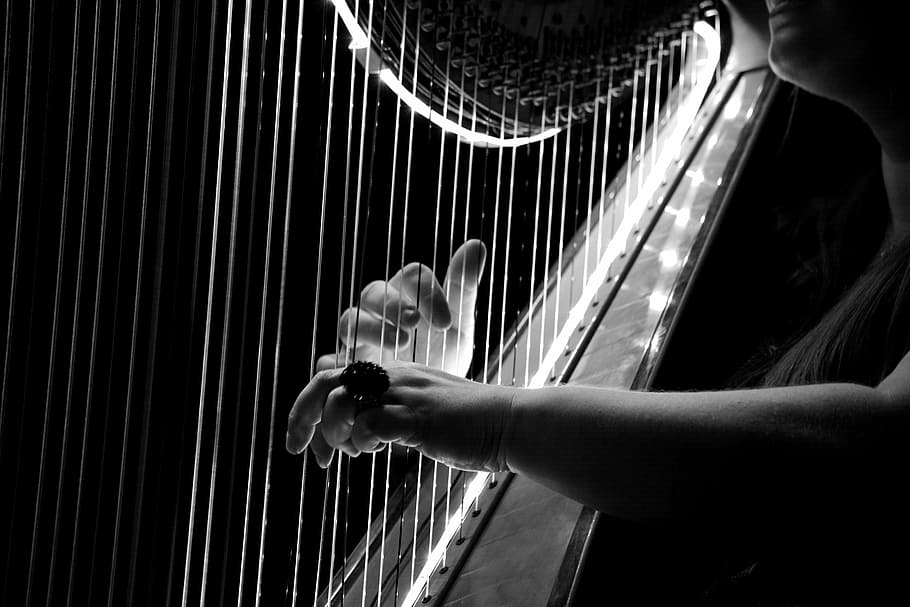Koncert harfe u Muzičkoj školi u Pančevu